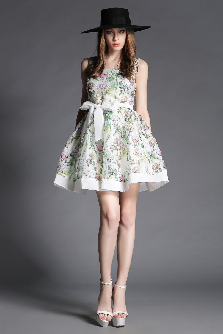 The Spring 2015 Printed Sleeveless Render In The Dress